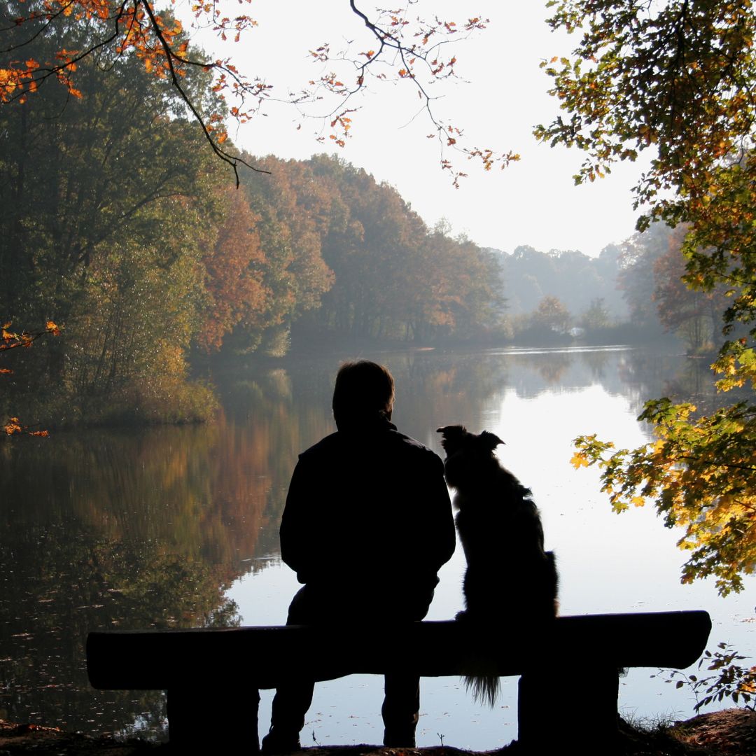 Peaceful water representing gentle Cremation by Water for beloved pets